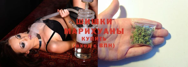 винт Новокубанск