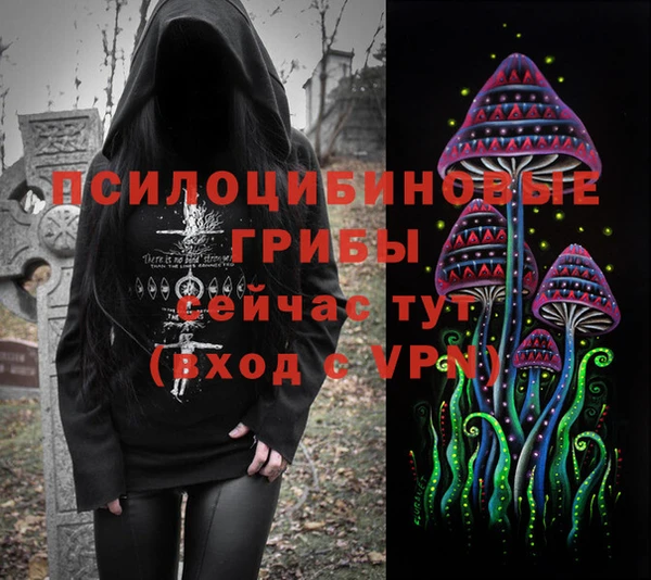 винт Новокубанск