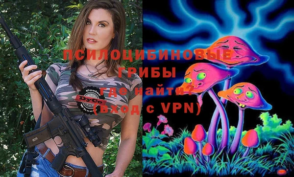 винт Новокубанск