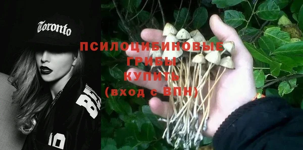 трава Нея