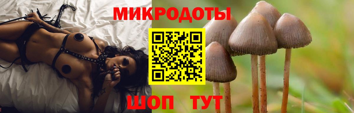 Галлюциногенные грибы GOLDEN TEACHER Волжский